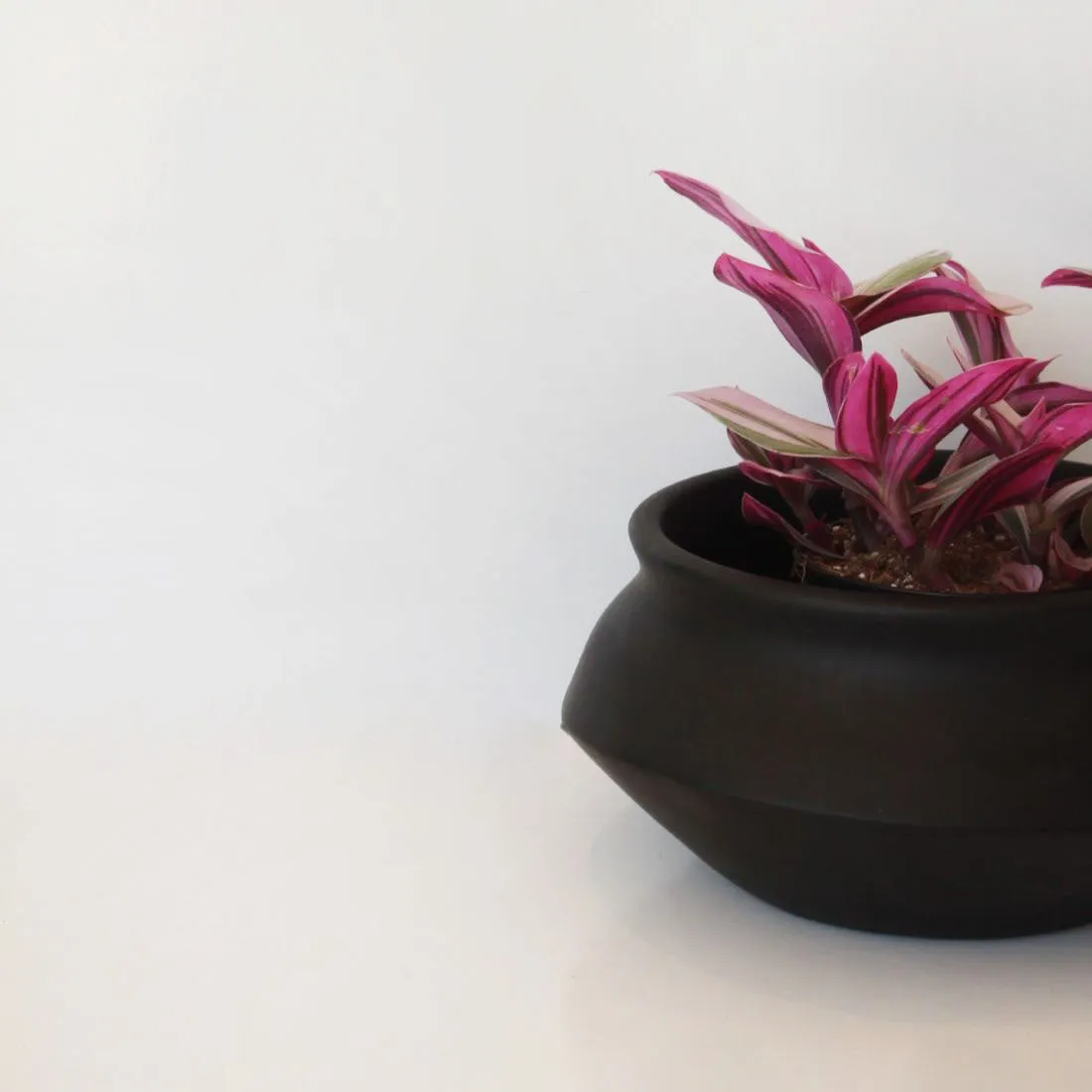 Urban Oasis Naya Pot Matte Black Small